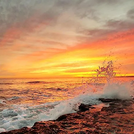 Sea Breeze - Sole * Bari